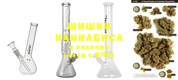 бошки Алексин