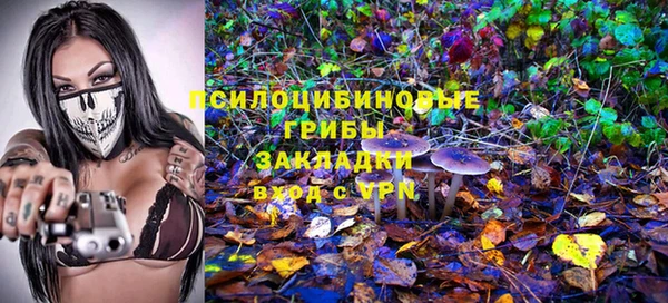 бошки Алексин